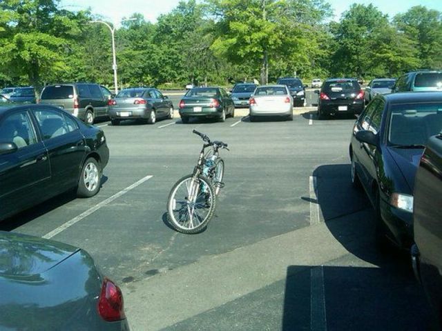 Daily picdump [WEEKEND EDITION]