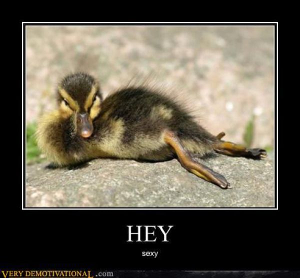 Funny Demotivational Posters. Part 21