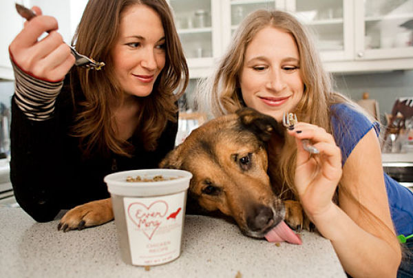 Uncanny Factoid: Dog Food Diet