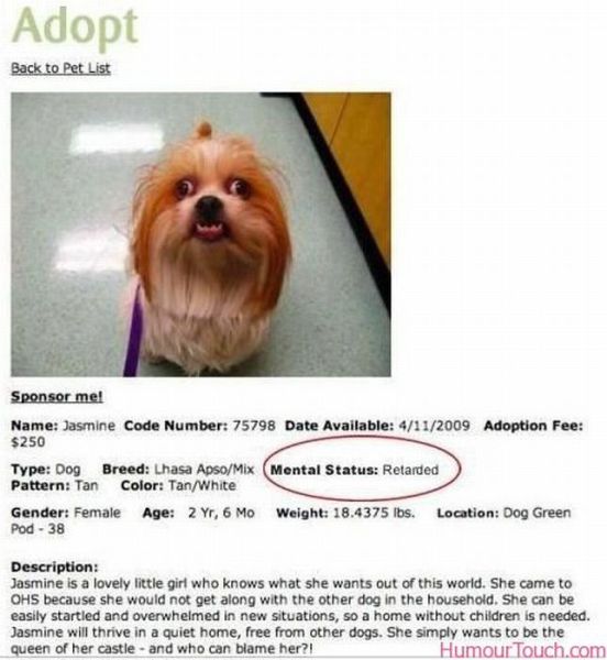 Daily picdump