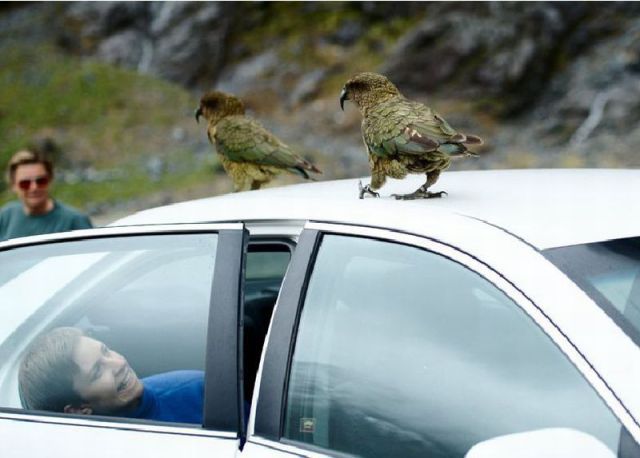Daily picdump