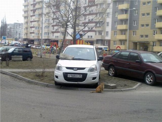 Daily picdump