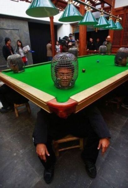 Daily picdump