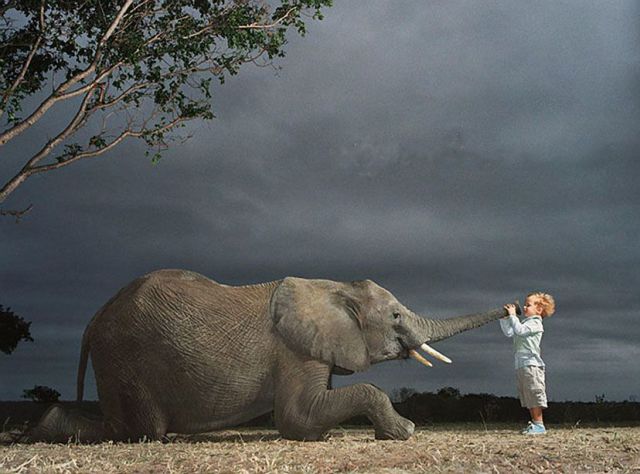 Daily picdump