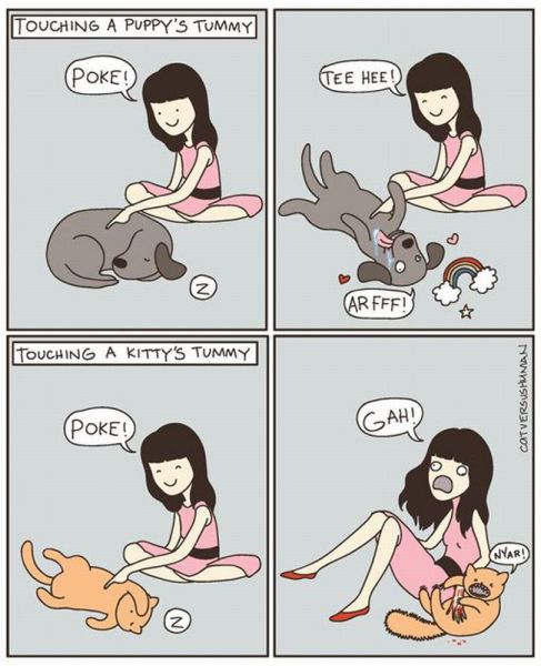Daily picdump