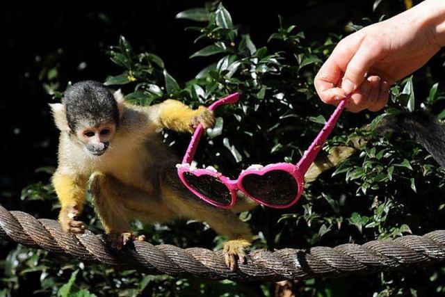 Daily picdump