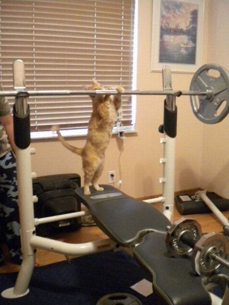 Daily picdump