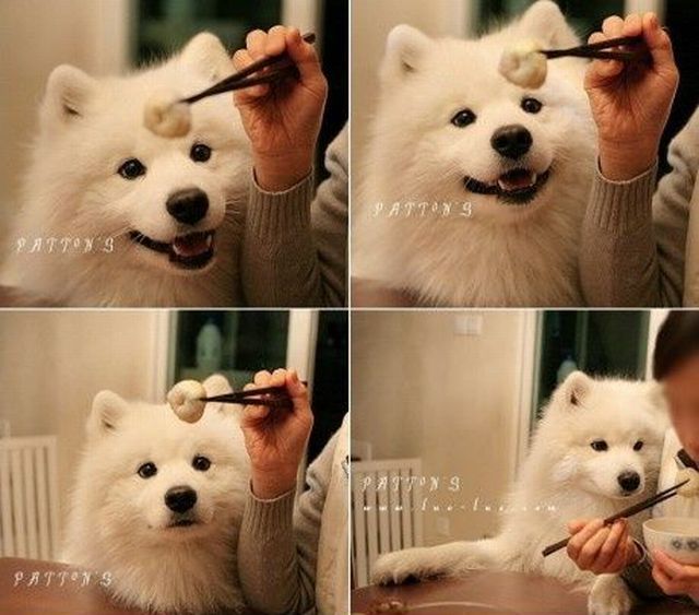 Daily picdump