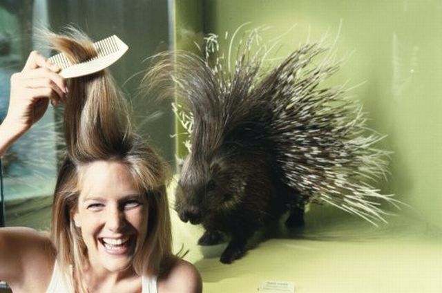 Daily picdump