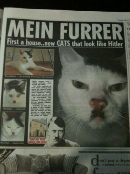 Daily picdump
