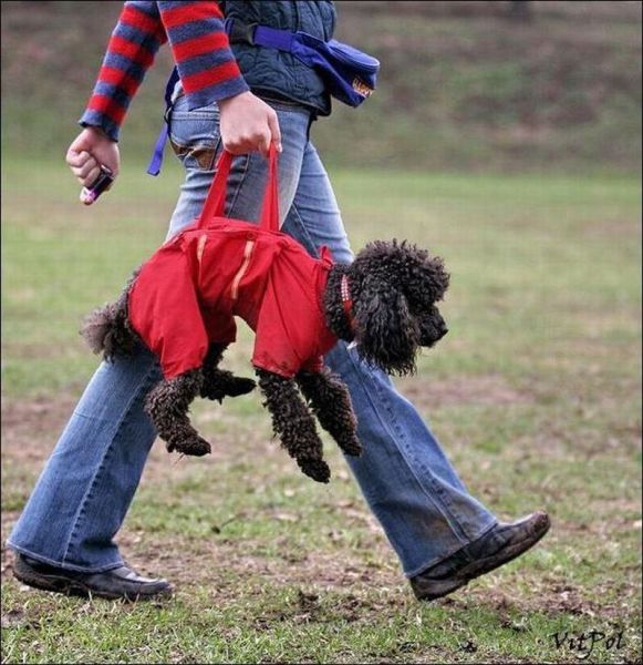 Daily picdump