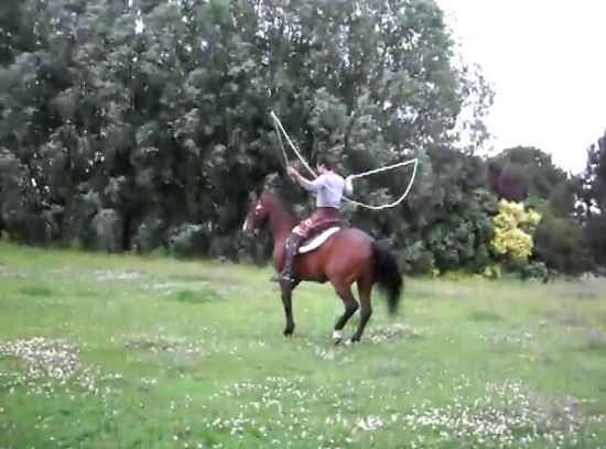 Never Seen a Horse Jumping a Rope?