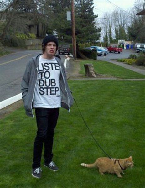 Daily picdump [WEEKEND EDITION]