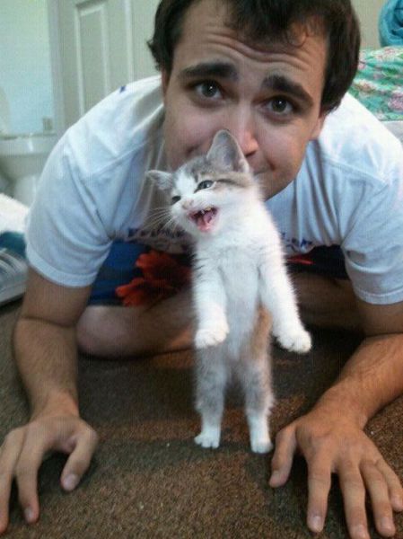 Daily picdump [WEEKEND EDITION]