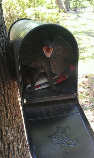 Daily picdump [WEEKEND EDITION]