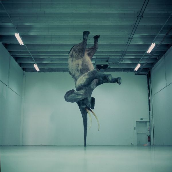 Creative Artworks