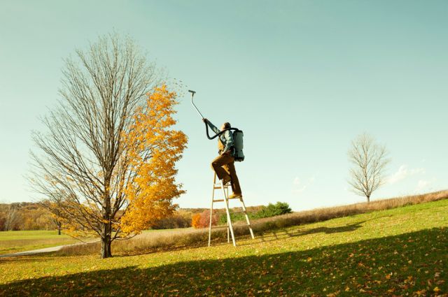 Creative Artworks