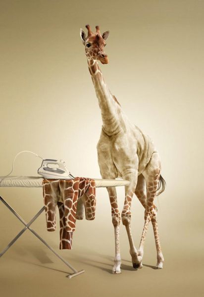 Creative Artworks