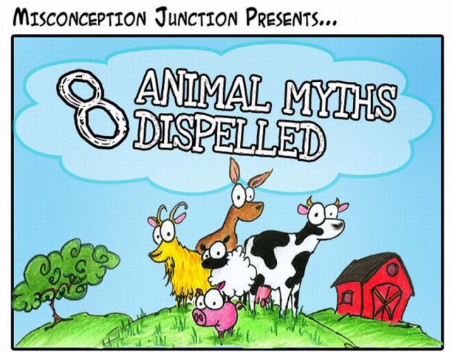 Busted Animal Myths