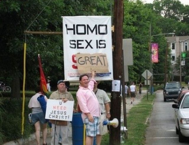 funny pictures