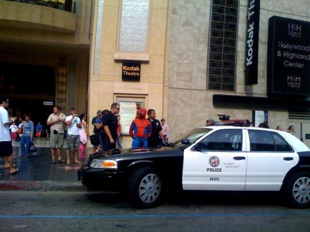 funny pictures