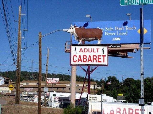 Daily picdump