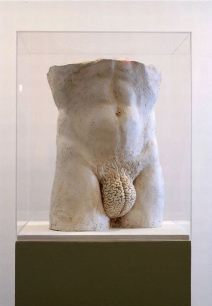 funny pictures