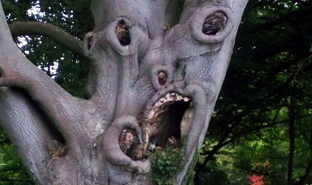 Daily picdump