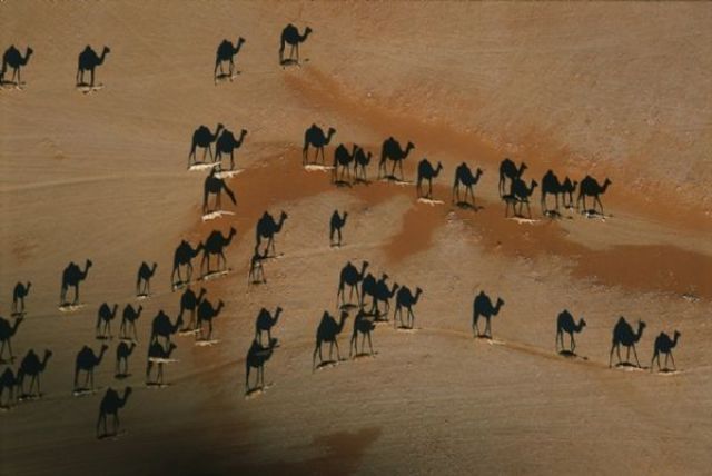 Some Very Creative Shadows