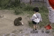 Friday Gif Collection