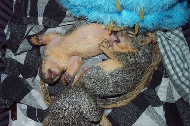 Daily picdump [WEEKEND EDITION]