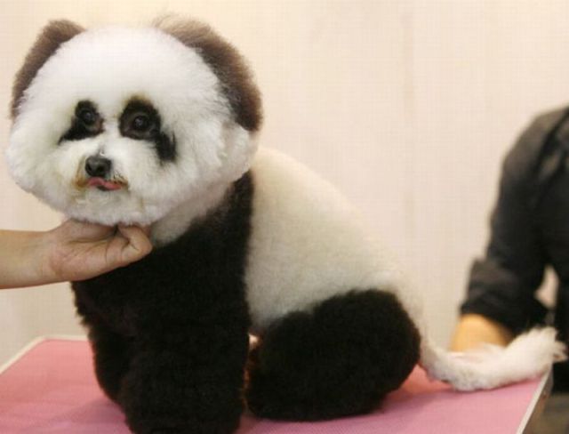 Daily picdump