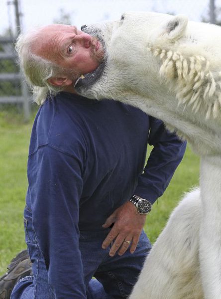 Daily picdump