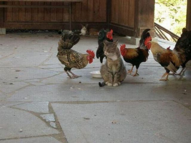 Daily picdump