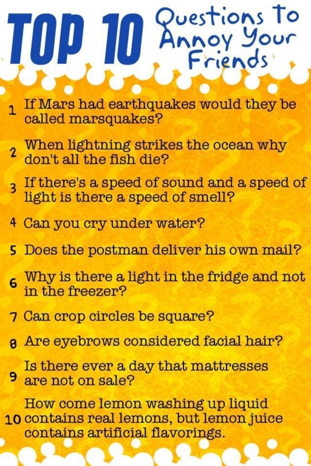 funny pictures