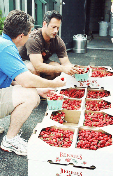 Strawberry Beer making in Pictures