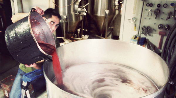 Strawberry Beer making in Pictures