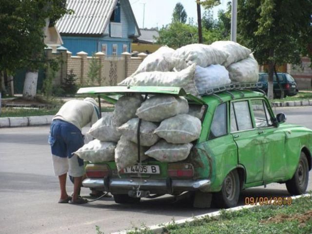 Daily picdump