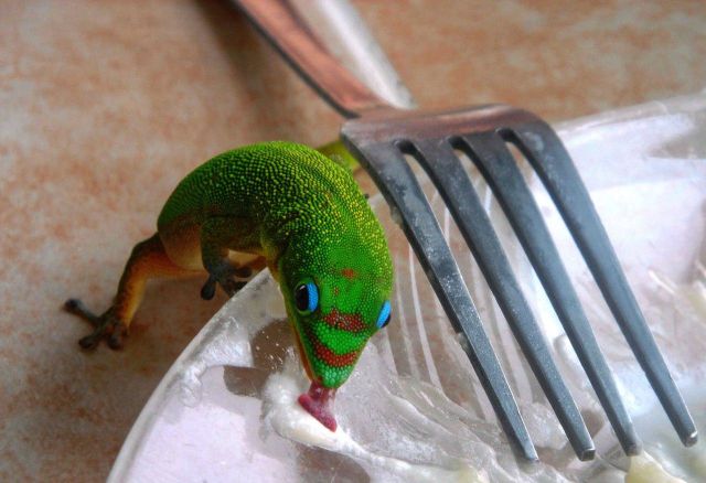 Daily picdump