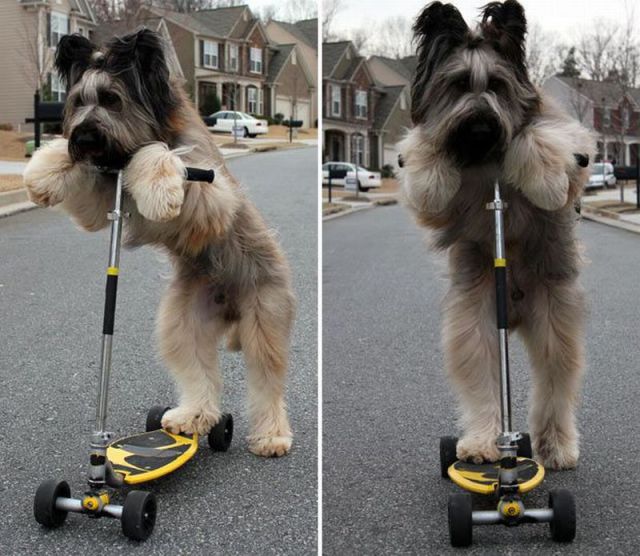 Daily picdump