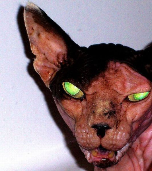Daily picdump