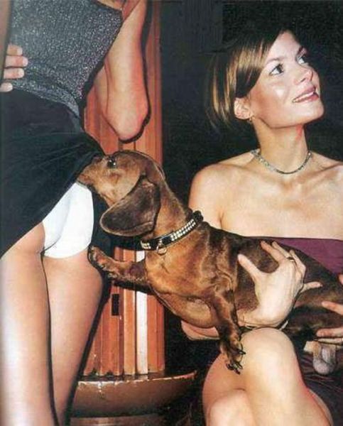Daily picdump