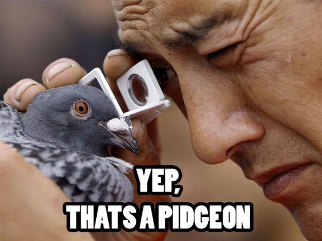 Daily picdump