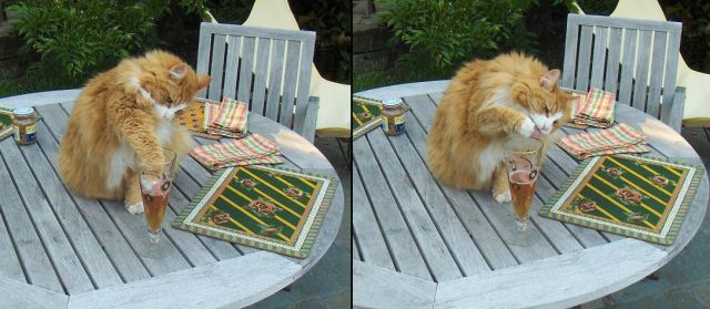 Daily picdump
