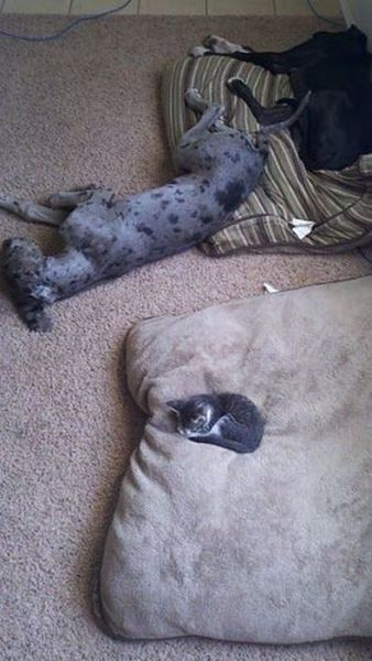 Daily picdump