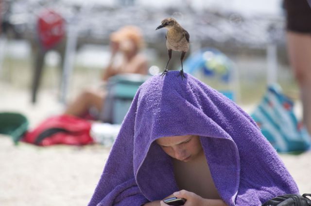 Daily picdump