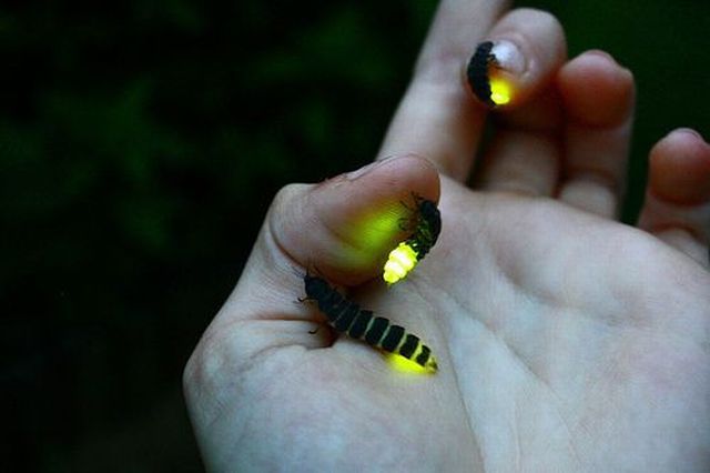 Daily picdump