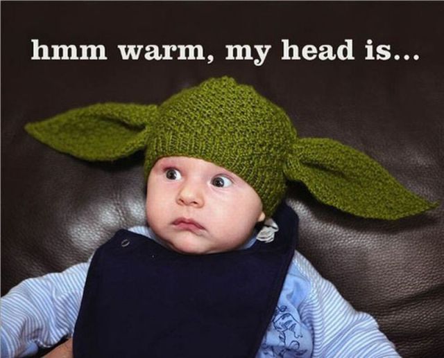 Daily picdump