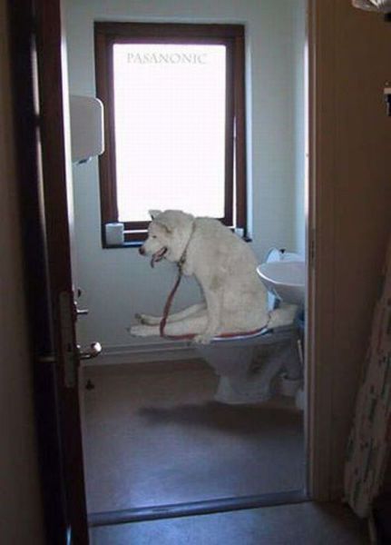 Daily picdump