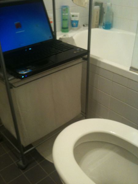 Daily picdump